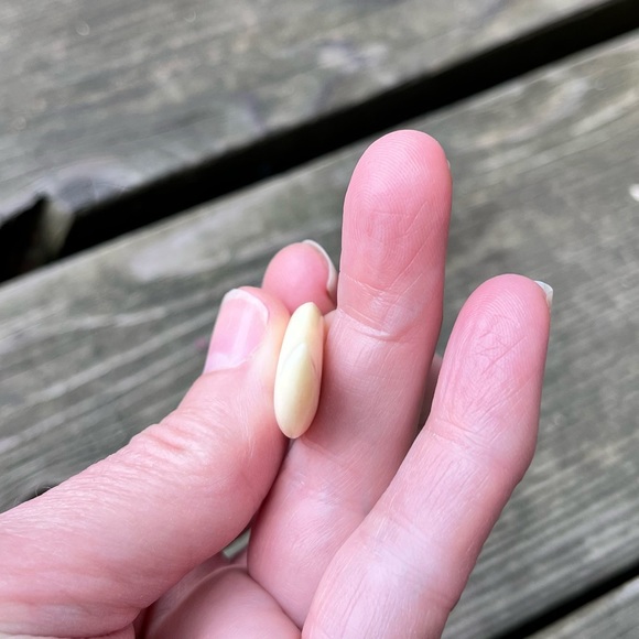Carved Bone Spiral Pendant - Picture 9 of 11